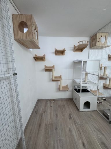 Katzenpension Maifeld Koblenz